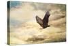 Early Evening Flight Bald Eagle 1-Jai Johnson-Stretched Canvas