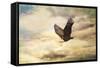 Early Evening Flight Bald Eagle 1-Jai Johnson-Framed Stretched Canvas