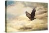 Early Evening Flight Bald Eagle 1-Jai Johnson-Stretched Canvas