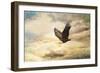 Early Evening Flight Bald Eagle 1-Jai Johnson-Framed Giclee Print