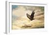 Early Evening Flight Bald Eagle 1-Jai Johnson-Framed Giclee Print