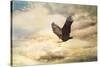 Early Evening Flight Bald Eagle 1-Jai Johnson-Stretched Canvas