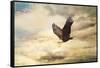 Early Evening Flight Bald Eagle 1-Jai Johnson-Framed Stretched Canvas