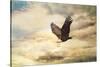 Early Evening Flight Bald Eagle 1-Jai Johnson-Stretched Canvas