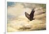 Early Evening Flight Bald Eagle 1-Jai Johnson-Framed Giclee Print