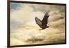 Early Evening Flight Bald Eagle 1-Jai Johnson-Framed Giclee Print