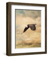 Early Evening Flight Bald Eagle 2-Jai Johnson-Framed Giclee Print