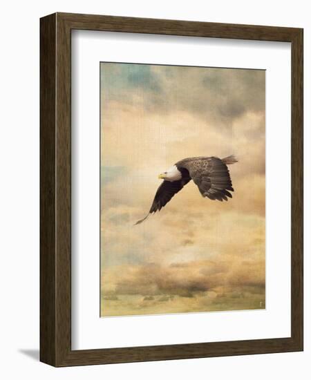 Early Evening Flight Bald Eagle 2-Jai Johnson-Framed Giclee Print