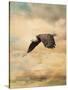 Early Evening Flight Bald Eagle 2-Jai Johnson-Stretched Canvas