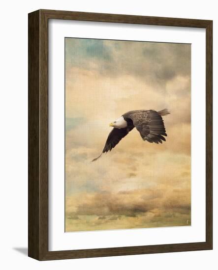 Early Evening Flight Bald Eagle 2-Jai Johnson-Framed Giclee Print