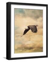 Early Evening Flight Bald Eagle 2-Jai Johnson-Framed Giclee Print