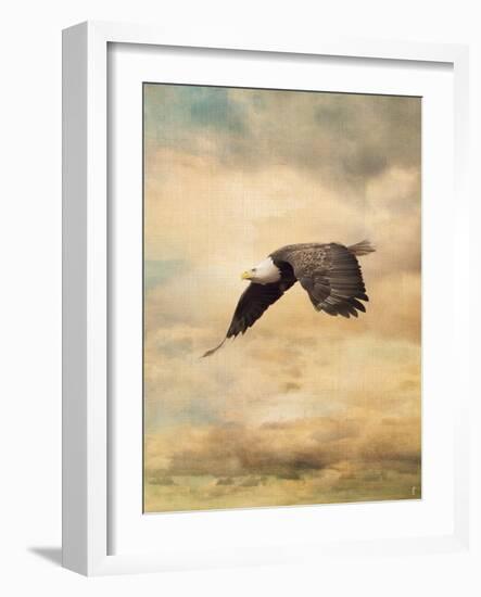 Early Evening Flight Bald Eagle 2-Jai Johnson-Framed Giclee Print