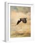 Early Evening Flight Bald Eagle 2-Jai Johnson-Framed Giclee Print