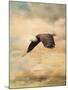 Early Evening Flight Bald Eagle 2-Jai Johnson-Mounted Giclee Print