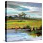 Early Evening-Carol Hallock-Stretched Canvas