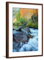 Early Fall at Bishop Creek-Vincent James-Framed Photographic Print