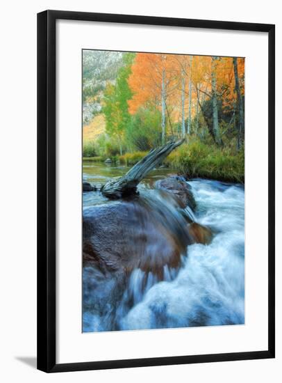 Early Fall at Bishop Creek-Vincent James-Framed Photographic Print