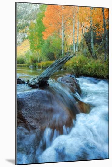 Early Fall at Bishop Creek-Vincent James-Mounted Photographic Print