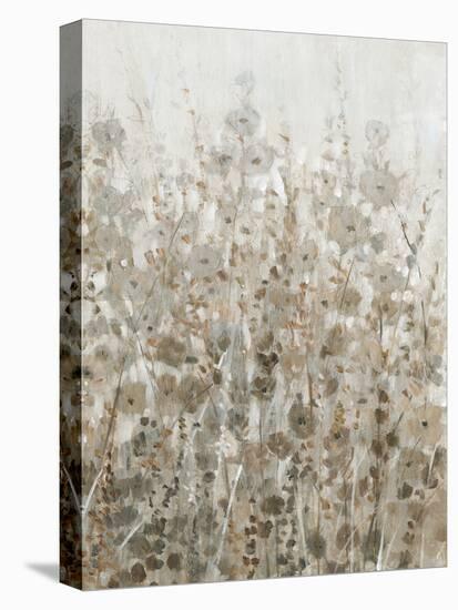 Early Fall Flowers II-Tim O'toole-Stretched Canvas