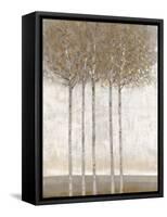 Early Fall II-Tim O'toole-Framed Stretched Canvas