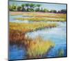 Early Fall Marsh-null-Mounted Art Print