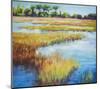 Early Fall Marsh-null-Mounted Art Print