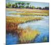 Early Fall Marsh-null-Mounted Art Print