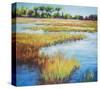 Early Fall Marsh-null-Stretched Canvas