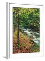 Early Fall Stream, Catskills-Vincent James-Framed Photographic Print