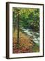 Early Fall Stream, Catskills-Vincent James-Framed Photographic Print