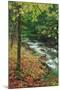 Early Fall Stream, Catskills-Vincent James-Mounted Photographic Print