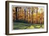 Early Fall Trees-Helen J. Vaughn-Framed Giclee Print