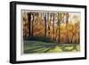 Early Fall Trees-Helen J. Vaughn-Framed Giclee Print