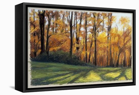 Early Fall Trees-Helen J. Vaughn-Framed Stretched Canvas