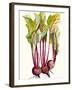 Early Harvest II-Alicia Ludwig-Framed Art Print