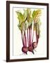 Early Harvest II-Alicia Ludwig-Framed Art Print