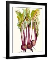 Early Harvest II-Alicia Ludwig-Framed Art Print