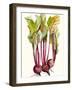 Early Harvest II-Alicia Ludwig-Framed Art Print