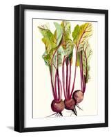 Early Harvest II-Alicia Ludwig-Framed Art Print