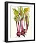 Early Harvest II-Alicia Ludwig-Framed Art Print