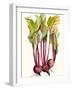 Early Harvest II-Alicia Ludwig-Framed Art Print