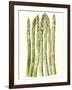 Early Harvest III-Alicia Ludwig-Framed Art Print