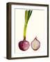 Early Harvest IV-Alicia Ludwig-Framed Art Print