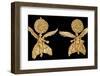 Early Hellenistic Gold Earrings with Nike-null-Framed Photographic Print