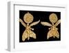 Early Hellenistic Gold Earrings with Nike-null-Framed Photographic Print