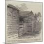 Early Home of the President of the United States, Elizabeth Town, Kentucky-null-Mounted Giclee Print