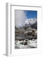 Early in Morning Frost in Mount Siguniang-Alex Treadway-Framed Photographic Print