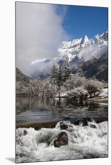 Early in Morning Frost in Mount Siguniang-Alex Treadway-Mounted Premium Photographic Print