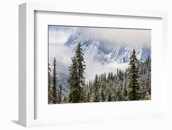 Early in Morning Frost on Trees in Mount Siguniang-Alex Treadway-Framed Photographic Print