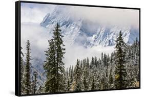 Early in Morning Frost on Trees in Mount Siguniang-Alex Treadway-Framed Stretched Canvas